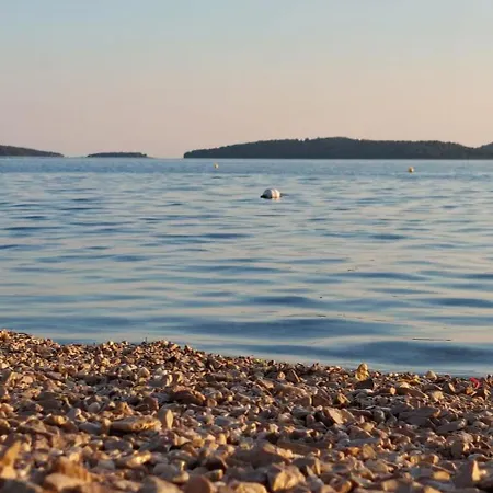 Wendy Brodarica (Sibenik-Knin)